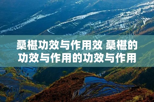 桑椹功效与作用效 桑椹的功效与作用的功效与作用及禁忌