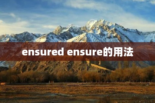 ensured ensure的用法