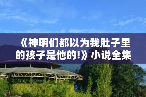 《神明们都以为我肚子里的孩子是他的!》小说全集简介