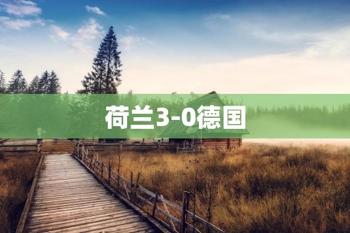 荷兰3-0德国：战胜的背后是实力与拼搏