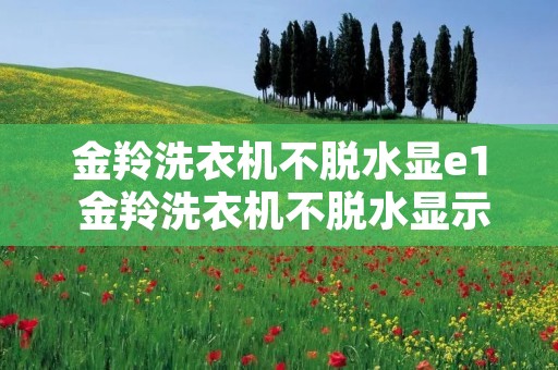 金羚洗衣机不脱水显e1 金羚洗衣机不脱水显示e3