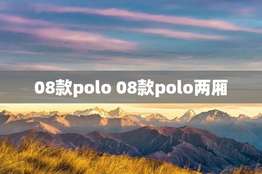 08款polo 08款polo两厢