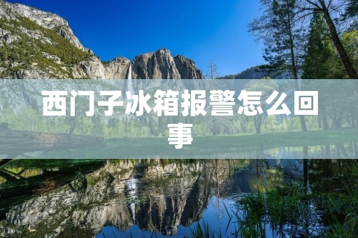 西门子冰箱报警怎么回事：详细解析