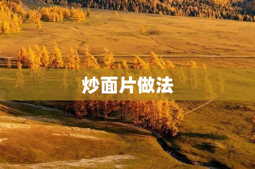 炒面片做法:教你轻松制作美味的炒面片 炒面片做法:教你轻松制作美味的炒面片