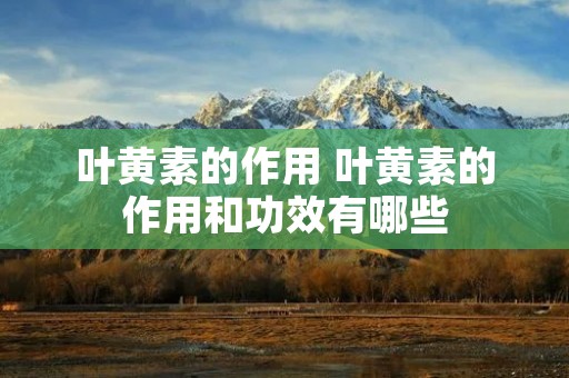 叶黄素的作用 叶黄素的作用和功效有哪些