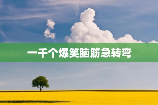 一千个爆笑脑筋急转弯:让你笑破肚皮的犀利智慧! 一千个爆笑脑筋急转弯:让你笑破肚皮的犀利智慧!