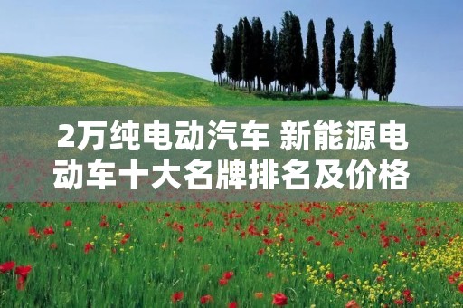 2万纯电动汽车 新能源电动车十大名牌排名及价格 2万纯电动汽车 新能源电动车十大名牌排名及价格