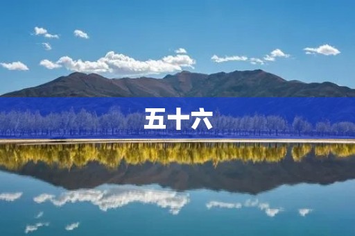 五十六:让我们一起走进数字的奇妙世界