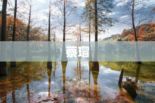 蔡瑁：三国时期蜀国名将的传奇一生
