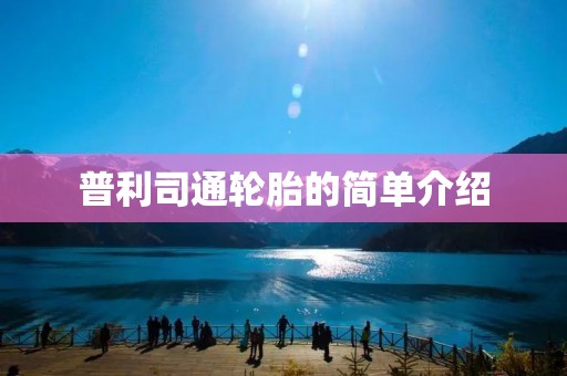 普利司通轮胎的简单介绍