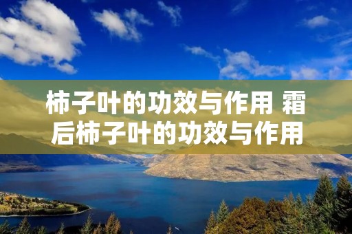 柿子叶的功效与作用 霜后柿子叶的功效与作用