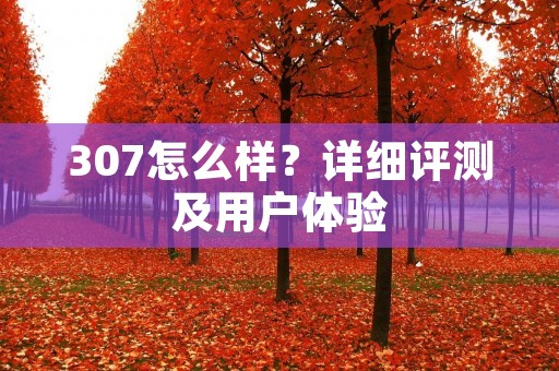 307怎么样?详细评测及用户体验 307怎么样?详细评测及用户体验