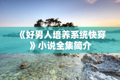 《好男人培养系统快穿》小说全集简介