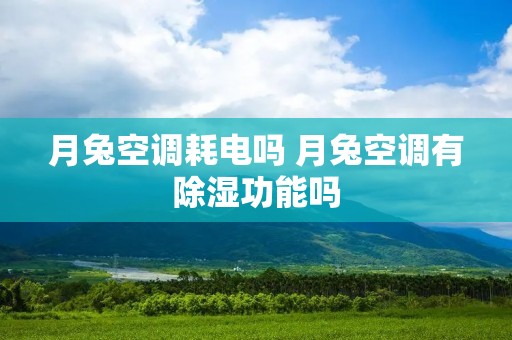 月兔空调耗电吗 月兔空调有除湿功能吗