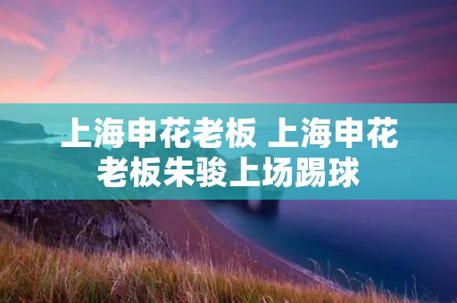 上海申花老板 上海申花老板朱骏上场踢球