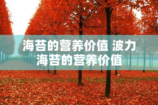 海苔的营养价值 波力海苔的营养价值