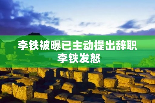 李铁被曝已主动提出辞职 李铁发怒