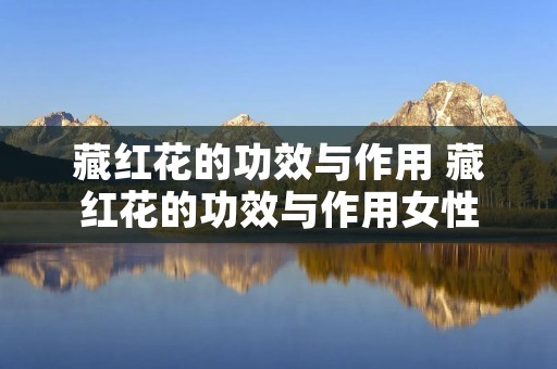 藏红花的功效与作用 藏红花的功效与作用女性 藏红花的功效与作用 藏红花的功效与作用女性