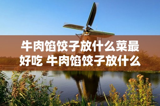 牛肉馅饺子放什么菜最好吃 牛肉馅饺子放什么配菜好