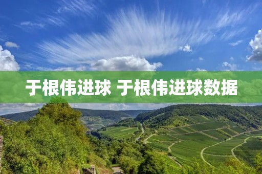 于根伟进球 于根伟进球数据