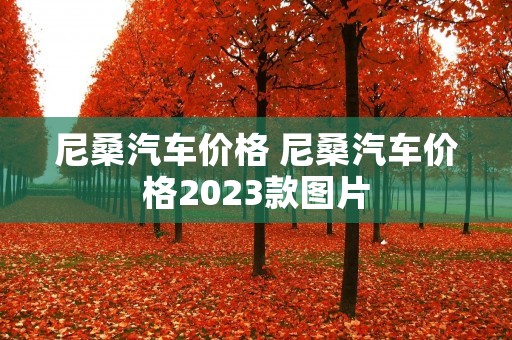 尼桑汽车价格 尼桑汽车价格2023款图片