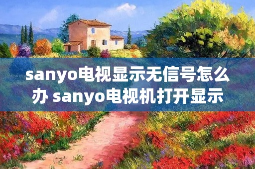 sanyo电视显示无信号怎么办 sanyo电视机打开显示无信号