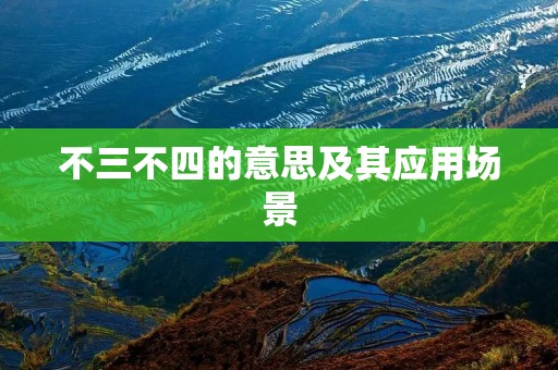 不三不四的意思及其应用场景