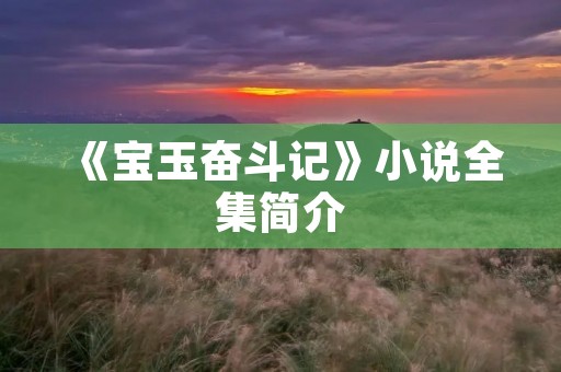 《宝玉奋斗记》小说全集简介