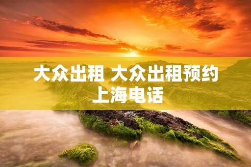大众出租 大众出租预约 上海电话