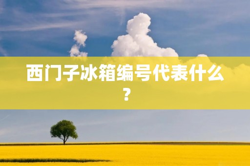 西门子冰箱编号代表什么？