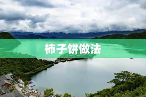 柿子饼做法：如何制作美味可口的柿子饼