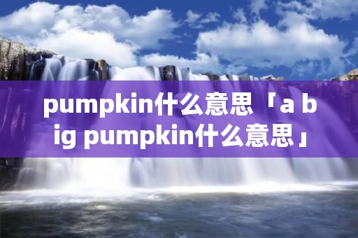 pumpkin什么意思「a big pumpkin什么意思」