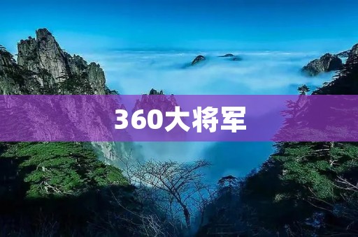360大将军:保护您的网络安全利器 360大将军:保护您的网络安全利器