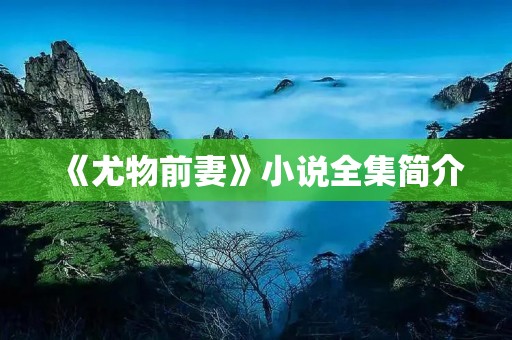 《尤物前妻》小说全集简介