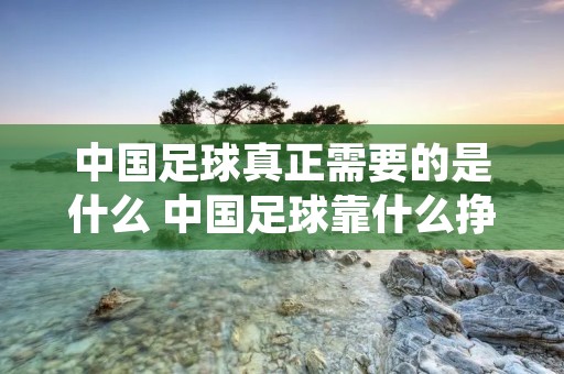 中国足球真正需要的是什么 中国足球靠什么挣钱
