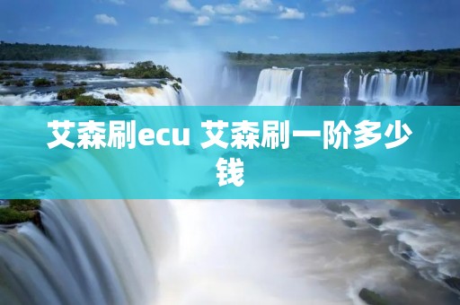 艾森刷ecu 艾森刷一阶多少钱 艾森刷ecu 艾森刷一阶多少钱
