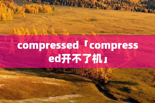 compressed「compressed开不了机」