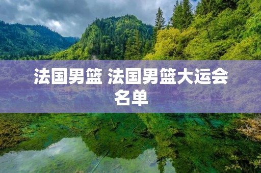 法国男篮 法国男篮大运会名单