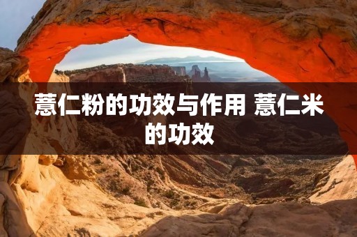 薏仁粉的功效与作用 薏仁米的功效