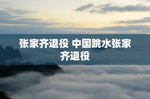 张家齐退役 中国跳水张家齐退役