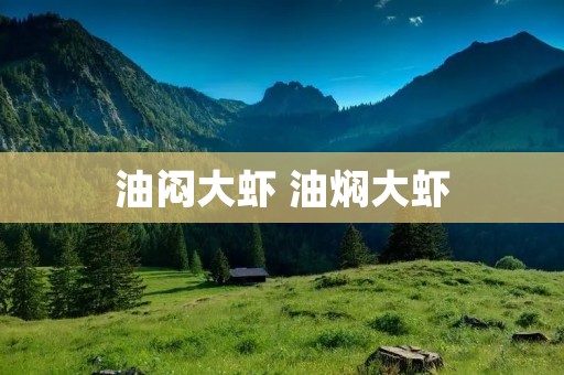 油闷大虾 油焖大虾