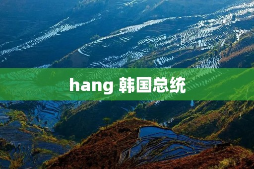 hang 韩国总统