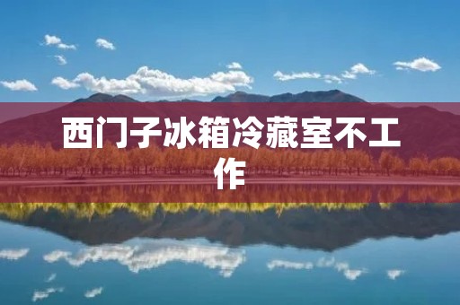 西门子冰箱冷藏室不工作：原因与解决方法