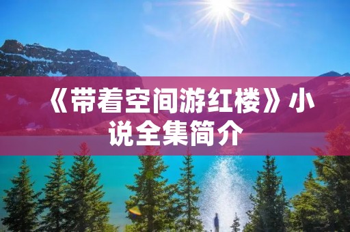 《带着空间游红楼》小说全集简介