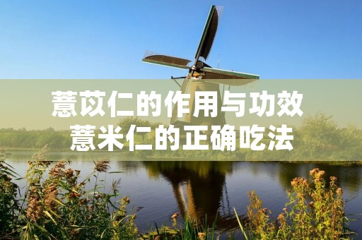 薏苡仁的作用与功效 薏米仁的正确吃法 薏苡仁的作用与功效 薏米仁的正确吃法