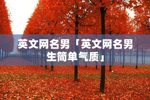 英文网名男「英文网名男生简单气质」