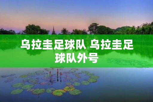 乌拉圭足球队 乌拉圭足球队外号