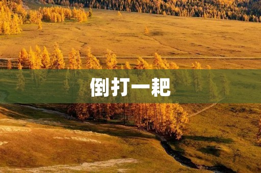 倒打一耙:揭开背后的真相 倒打一耙:揭开背后的真相