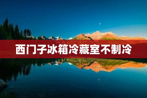 西门子冰箱冷藏室不制冷：可能存在的原因与解决方法
