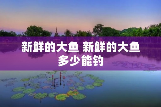 新鲜的大鱼 新鲜的大鱼多少能钓 新鲜的大鱼 新鲜的大鱼多少能钓
